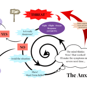 The Anxiety cycle